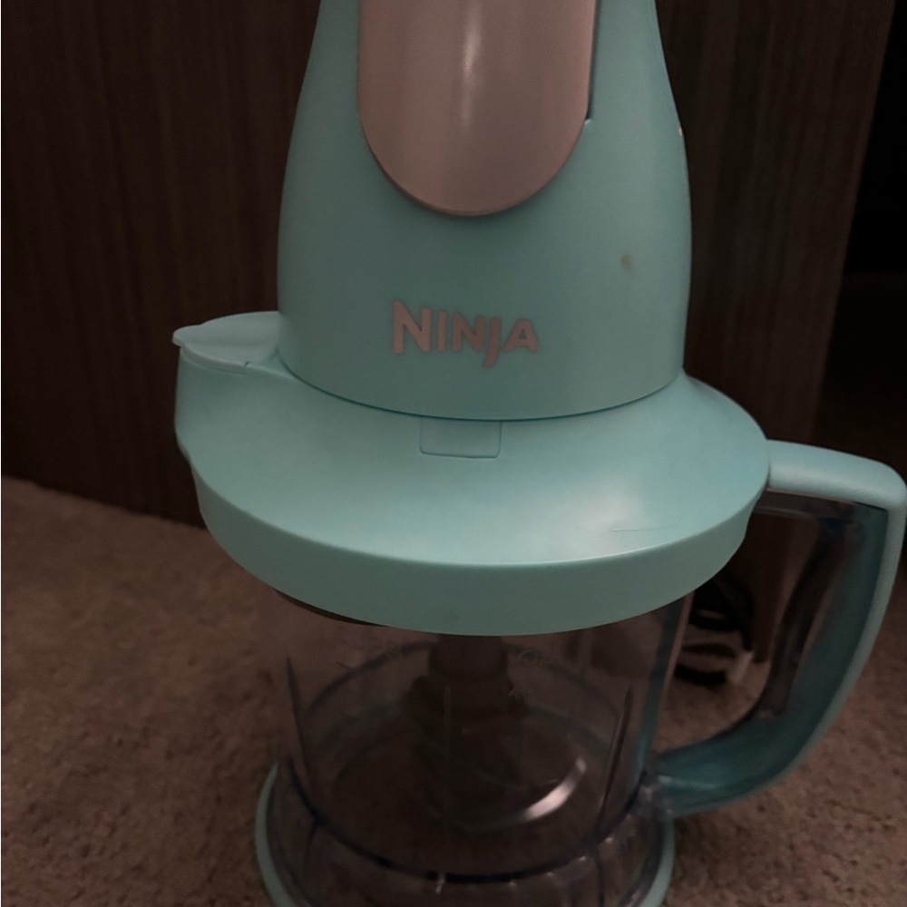 New Ninja Storm Food Processor